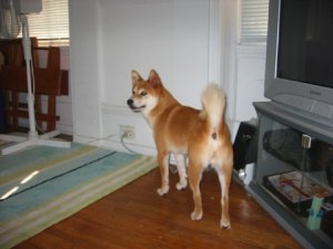 IMG_0202.jpg