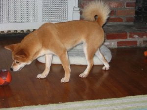 IMG_0208.jpg