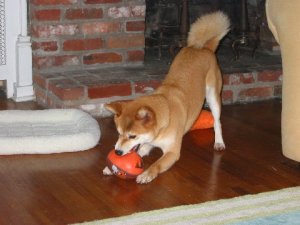 IMG_0207.jpg