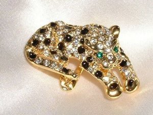 leopard slide.jpg