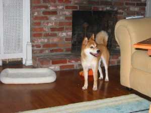 IMG_0209.jpg