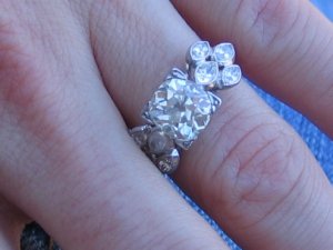 roxy7heirloom5.jpg
