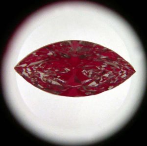 sarinut.jpg