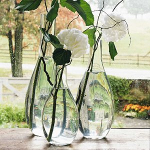 singlestemhydrangea.jpg