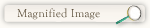 but_magnified123456.gif