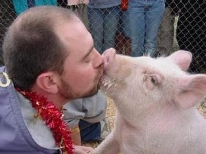 pig_kiss.jpg