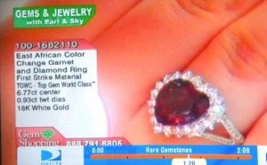 GSNccgarnet2.JPG
