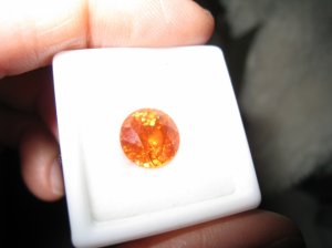 IMG_3692.JPG