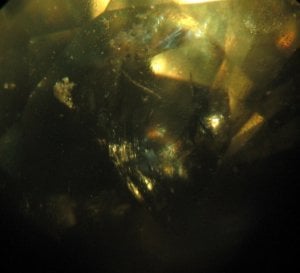 microscope4.JPG