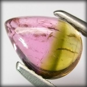 ebay auction_unknown size bi-color tourmaline cab from gemsller.JPG