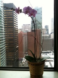 IMG_1549.jpg