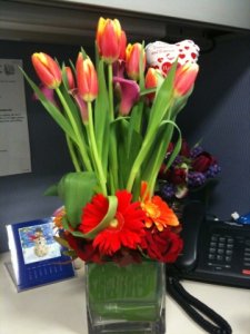 v-day flowers.JPG