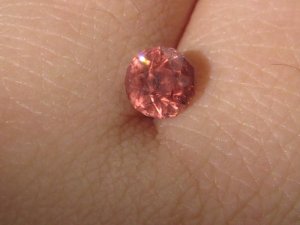 IMG_7708.JPG