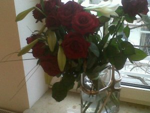 msc_valentinesroses.jpg
