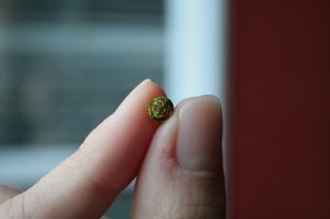 bespoke acorn peridot (10).jpg