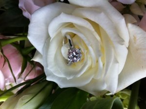 ring5.JPG ring5.JPG