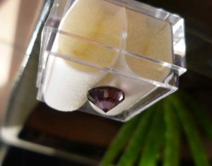 bb dana purple spinel 2.jpg