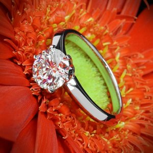 Ring3.jpg Ring3.jpg