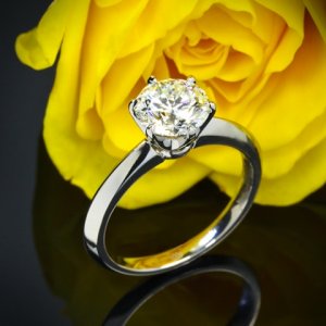 Ring4.jpg