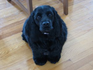 IMG_0159.JPG