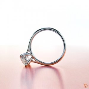 BrianGavin_Fancy5b_022411.jpg