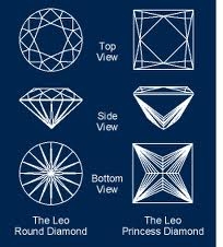 A-LeoWireFrame.jpg