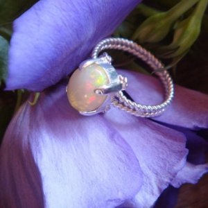 opal3.jpg