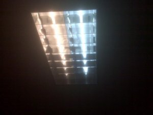 differentlightcolors.jpg