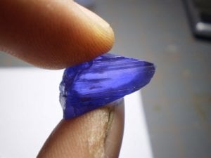 tanzy blue 31.jpg