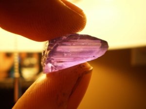 tanzy pink 31.jpg
