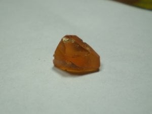 spess fluorescent.jpg