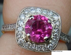 TLpinktourmsunlight3.JPG