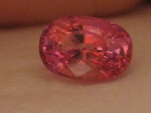 IMG_7987.JPG