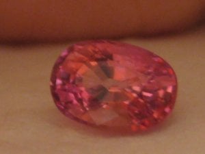 IMG_7988.JPG