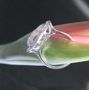 ring_2PROFILE.jpg