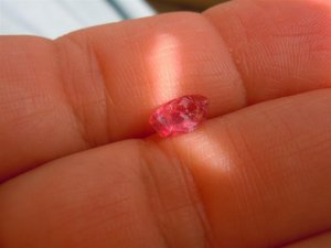 Gems n Rough 3-13-11 032 (Large).JPG