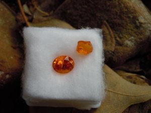 Gems n Rough 3-13-11 056 (Large).JPG