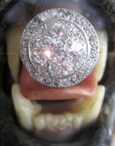 ring_TEEFUS.jpg