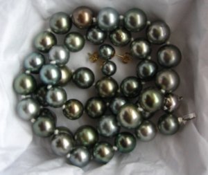 TahitianEarrings1584.jpg
