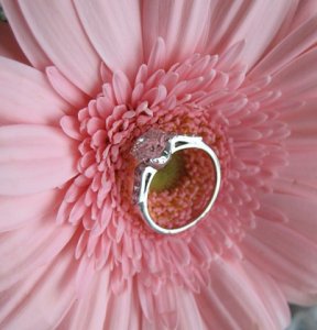 ring_side4.jpg