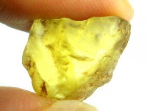 chrysorough3.jpg