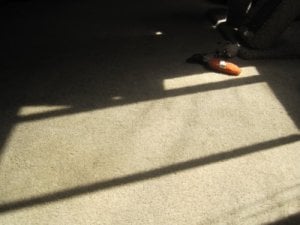 IMG_3663.jpg