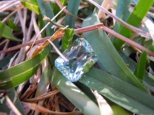 gemstones n flowers 3-19-11 040 (Large).JPG
