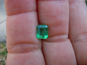 gemstones n flowers 3-19-11 006 (Large).JPG