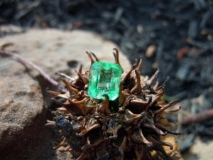 gemstones n flowers 3-19-11 007 (Large).JPG