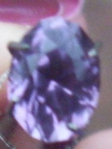 100_1940.jpg