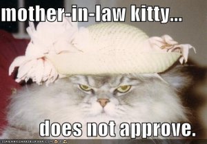 MILkitty.jpg