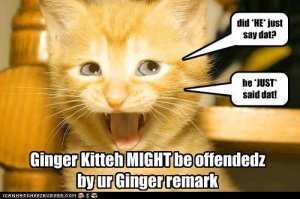 ginger.jpg