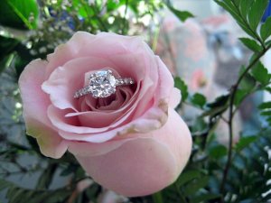rose_diamond_2.jpg rose_diamond_2.jpg