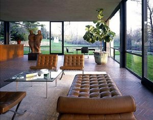 glasshouse2.jpg glasshouse2.jpg